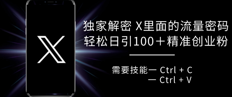 独家解密 X 里面的流量密码，复制粘贴轻松日引100+-热点1站 - 热点知汇专注网赚项目资源知识聚汇